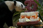 Hong Kong giant panda Jia Jia becomes oldest ever - 13