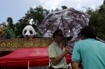 Hong Kong giant panda Jia Jia becomes oldest ever - 14