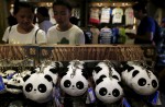 Hong Kong giant panda Jia Jia becomes oldest ever - 18