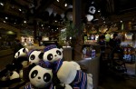 Hong Kong giant panda Jia Jia becomes oldest ever - 19