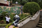 Hong Kong giant panda Jia Jia becomes oldest ever - 24