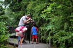 Wide variety of wildlife at Sungei Buloh Wetland Reserve - 6