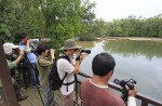 Wide variety of wildlife at Sungei Buloh Wetland Reserve - 23