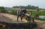 15-foot crocodile caught in Brunei village - 1