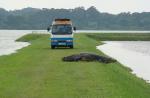 15-foot crocodile caught in Brunei village - 3