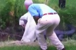 Man tries to catch large alligator on his own - 13