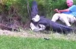 Man tries to catch large alligator on his own - 18