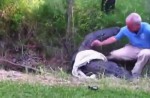 Man tries to catch large alligator on his own - 17