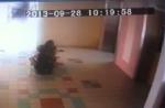 Caught on camera: Woman viciously beaten up by neighbour - 123