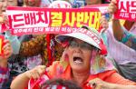 S. Korea PM egged in protest at US anti-missile system - 3