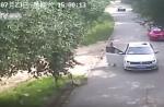 Tiger in Beijing mauls woman to death - 3