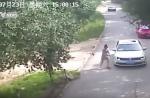 Tiger in Beijing mauls woman to death - 4