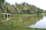 Explore exciting places in Bangkok - 2