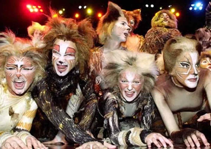 CatsReuters.jpg
