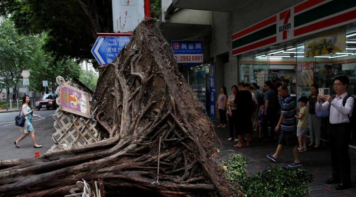 Hong Kong goes back to normal