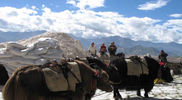 Traditions endure for Tibetan nomads