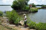 Preparing River Safari's manatees for journey to Caribbean - 1