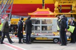 2 giant pandas arrive in Belgium on loan from China - 2