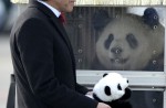 2 giant pandas arrive in Belgium on loan from China - 7