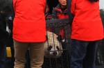 2 giant pandas arrive in Belgium on loan from China - 11