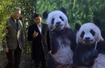 2 giant pandas arrive in Belgium on loan from China - 21