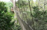 Most terrifying bridges in the world - 6