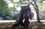 Felled trees turn into art in Singapore - 2