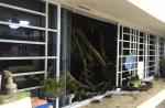 Tree crashes into 6 Pearl Bank Apartments - 7