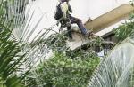 Tree crashes into 6 Pearl Bank Apartments - 8