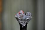 Import, distribution, sale of shisha to be banned in Singapore - 10