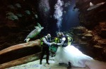 Fun and weird weddings around the world - 3