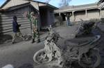 Ash-covered dog seen in aftermath on Mount Sinabung volcano eruption - 2