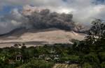 Ash-covered dog seen in aftermath on Mount Sinabung volcano eruption - 9