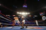 Manny Pacquiao wins farewell fight against Bradley - 25