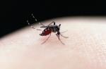 Fighting Zika: Which mosquito repellent to use - 0