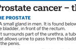 6 things to know about prostate cancer - 2