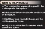 6 things to know about prostate cancer - 13