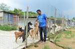 S'pore couple spend $8,000 a month to house 450 dogs in Johor Baru shelter - 0