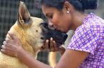 S'pore couple spend $8,000 a month to house 450 dogs in Johor Baru shelter - 4