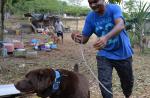 S'pore couple spend $8,000 a month to house 450 dogs in Johor Baru shelter - 2