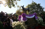 Thai king's favourite dog dies, laid to rest - 1