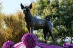 Thai king's favourite dog dies, laid to rest - 2