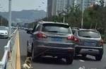 Dog tied to car's rear dies after being dragged on road in China - 12