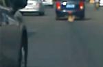 Dog tied to car's rear dies after being dragged on road in China - 16