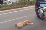 Dog tied to car's rear dies after being dragged on road in China - 27
