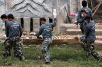 Thai officials continues removal of tigers from controversial temple - 10