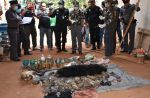 Thai officials continues removal of tigers from controversial temple - 43