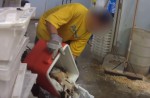 Peta alleges supplier freezes small animals to death - 17