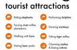 Animals at tourist attractions may be suffering - 0