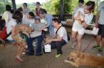 100 dogs help fulfill 13-year-old cancer patient's birthday wish - 3